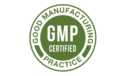 fit burn is gmp certified fit burn gmp certified
